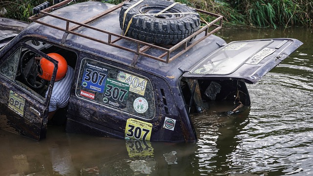 雷霆年轻球 雷霆年轻球