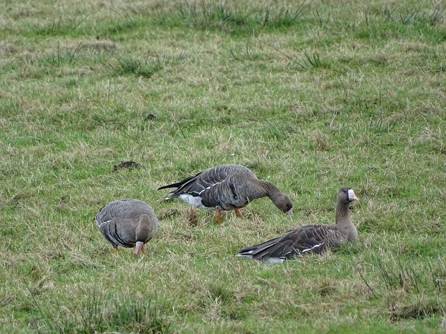 视的力量 视的力量