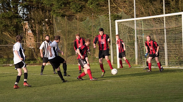 调整和训练 调整和训练